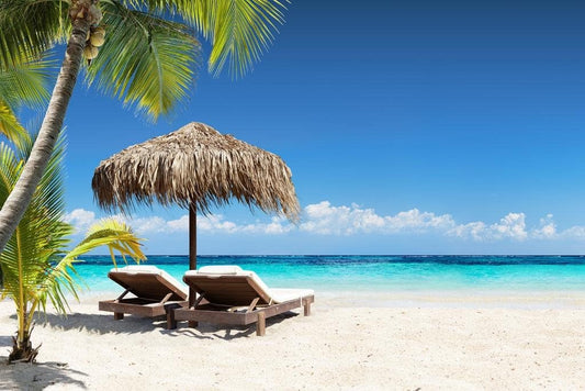 Beach Art Wall Decor Coral Beach Sand Sea Palapa Tropical Palm Tree Photo Sunset Landscape Pictures Ocean Scenic Scenery Nature Photography Paradise Cool Wall Art Print Poster 36X24