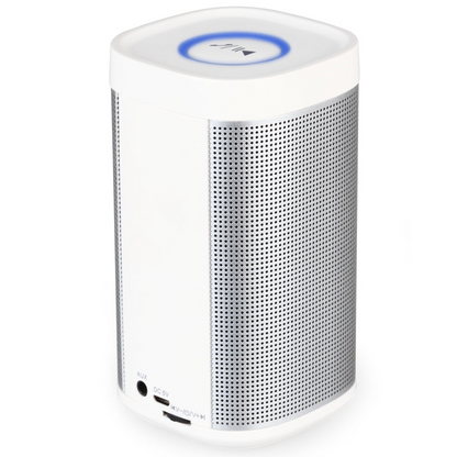 76185172