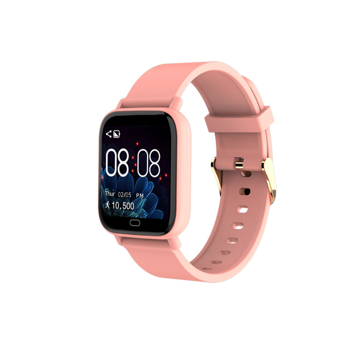 76265036